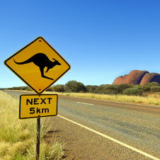 Känguru Straßenschild, Outback – Australien Studienreisen