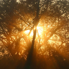 Sonnenaufgang im Kakadu Nationalpark, Australien